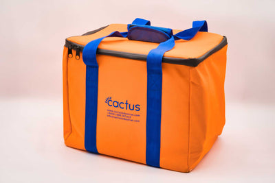 studio image of protective tool bag for Cordless Airless Paint Sprayer Kit (4)